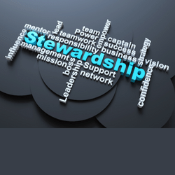 Stewardship